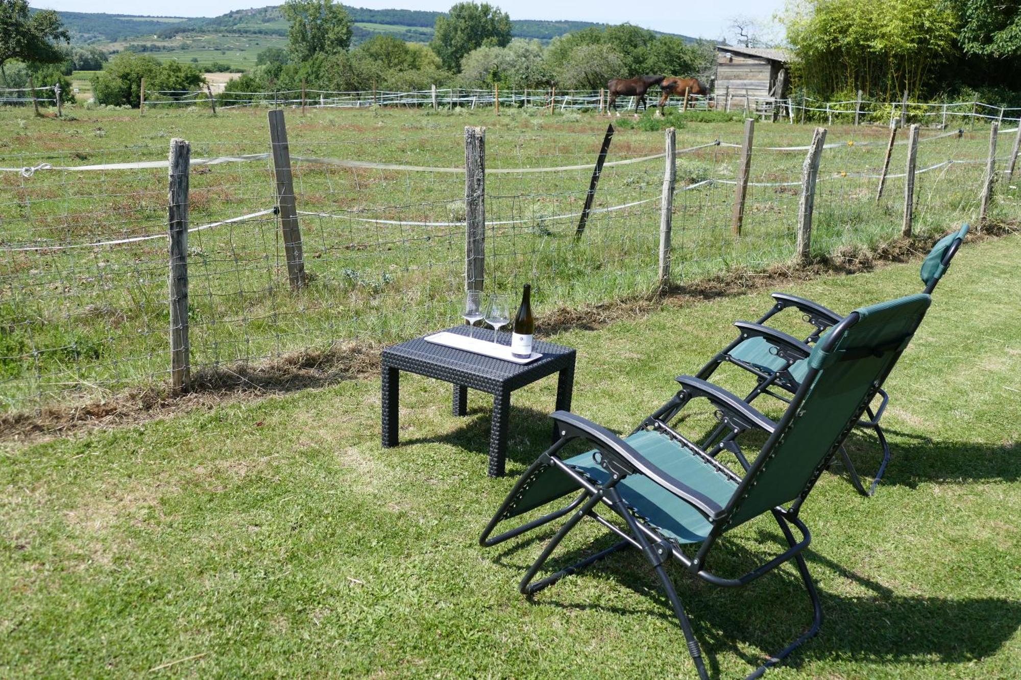 Les Grands Crus - Gite "Meursault" Corpeau Zewnętrze zdjęcie